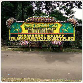 CDE BP 002 Bunga Papan