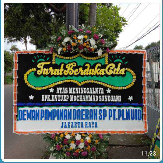 CDE BP 024 Bunga Papan