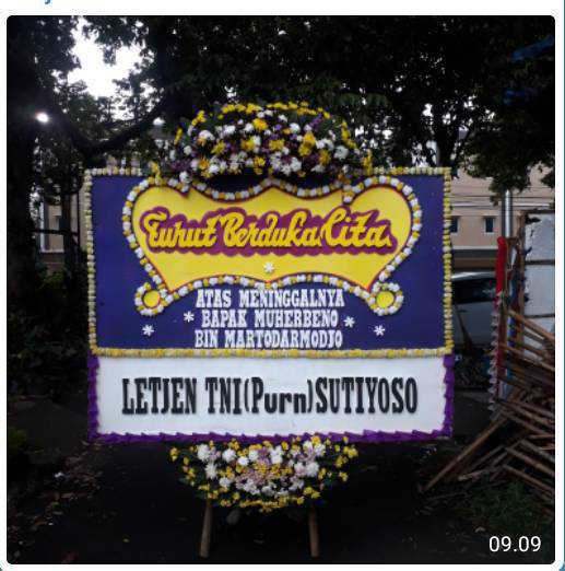 CDE BP 016 Bunga Papan