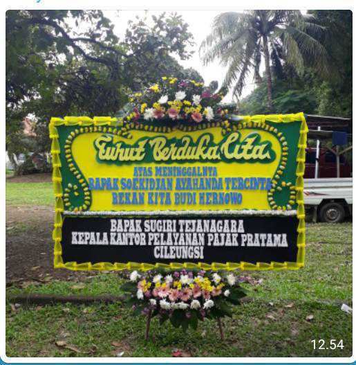 CDE BP 017 Bunga Papan
