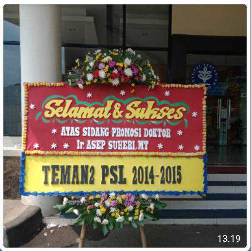 CDE BP 035 Bunga Papan