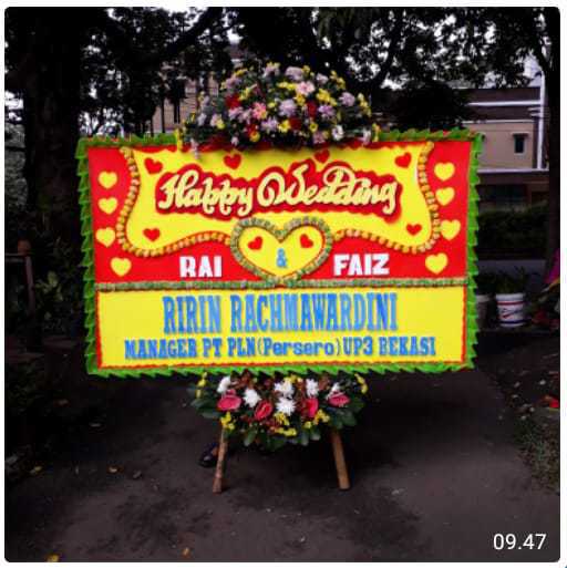 CDE BP 051 Bunga Papan