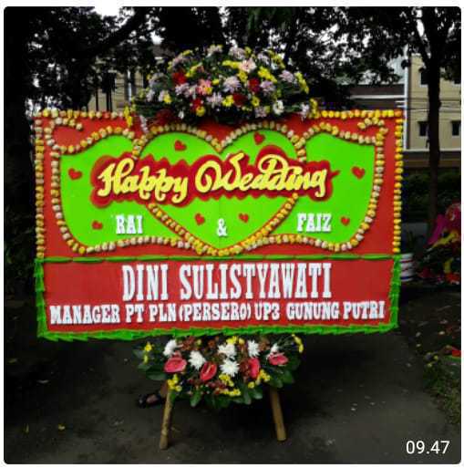 CDE BP 052 Bunga Papan