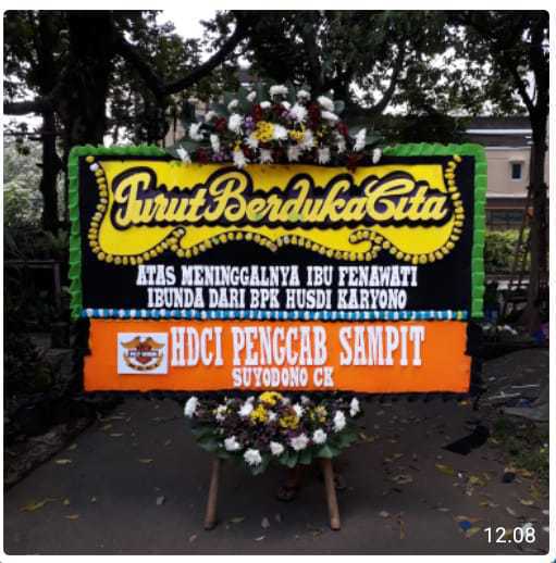 CDE BP 070 Bunga Papan