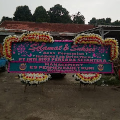 Bunga Papan Bogor 136