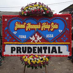 Bunga Papan Bogor 81