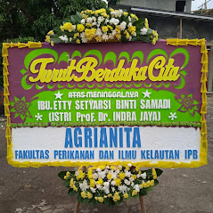 Bunga Papan Bogor 46
