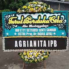 Bunga Papan Bogor 47