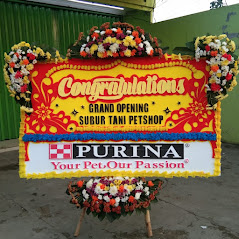 Bunga Papan Bogor 43