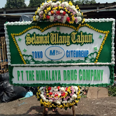 Bunga Papan Bogor 36