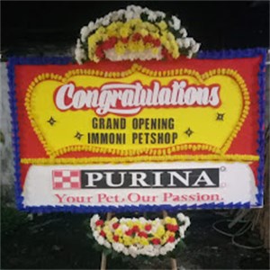 Bunga Papan Bogor 19