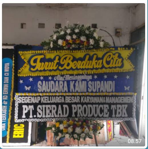 BPB - Bunga Papan 012