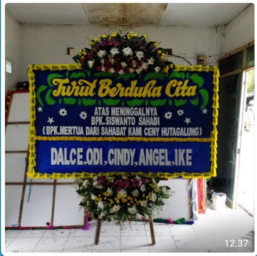 BPB - Bunga Papan 042